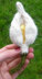 100 Flowers to Knit and Crochet