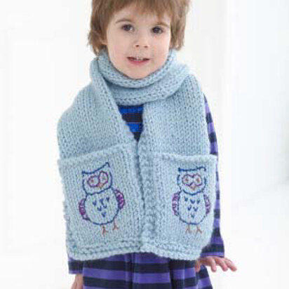 Whoo's In Your Pocket Scarf in Lion Brand Wool-Ease Thick & Quick and Glitterspun - L40136