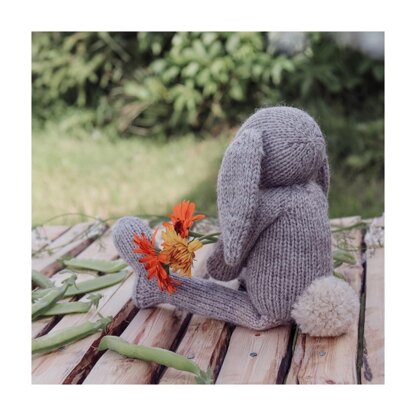 Bunny with Cozy Outfits