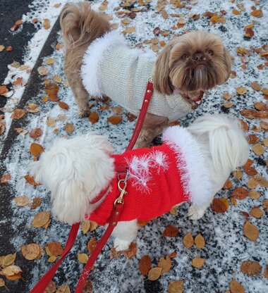 Santa dog coat