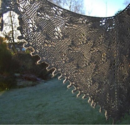 Intriguing Shawl