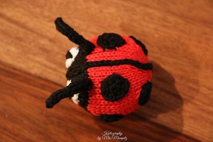 Marie the Ladybug