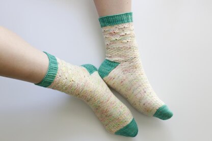 Wild Flowers Socks