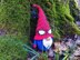 Gnome spider