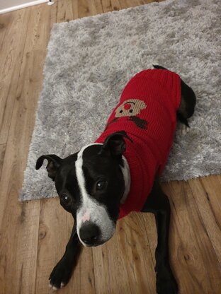 Dog Christmas  Jumper