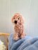 Poodle Plush