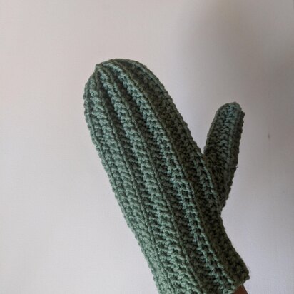 Cactus Mitts and Cactus Mittens