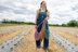 Farmstand Sack