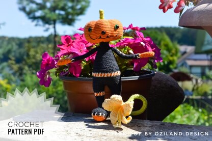 Mr Pumpkin amigurumi doll