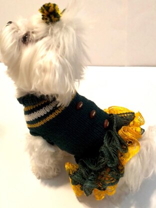 Cheerleader Doggie Dress