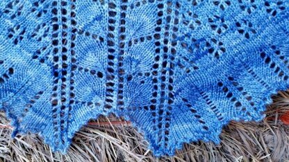 Darlin' Clementine Shawl