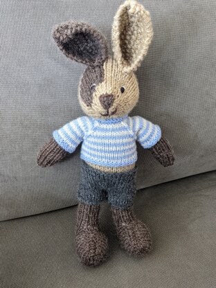 Boy bunny with a piebald patch