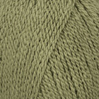 Fern (5606)