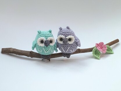 Owls couple on a branch
