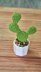 Prickly pear cactus