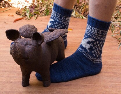 Pigasus Socks