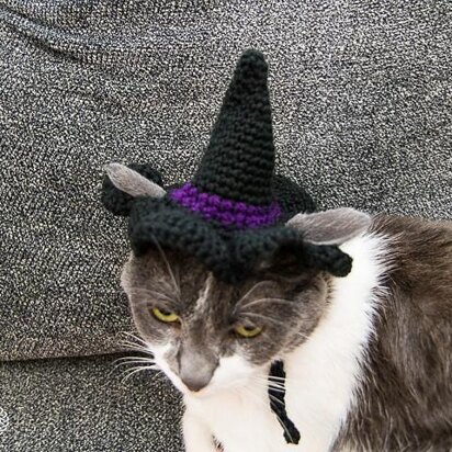 Cat's Witch Hat