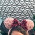 Velvet Mouse Ears