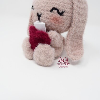 Valentine Note Bunny