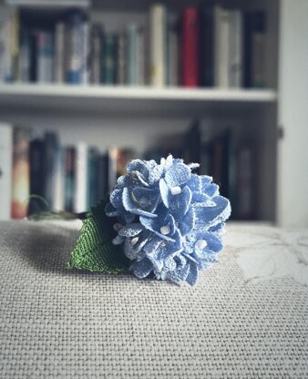 Hydrangea