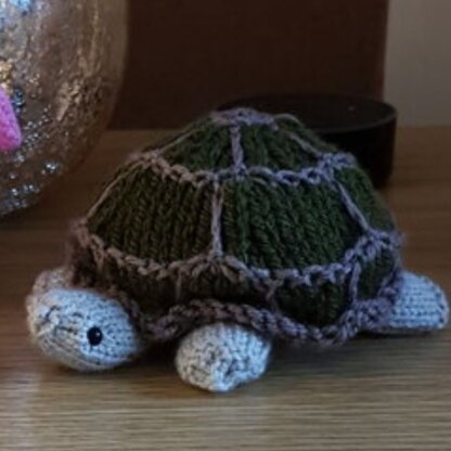 Tegan's Tortoise