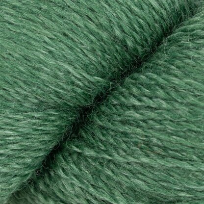 Canopy (1249)