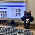 Bat Cat With Skull Amigurumi