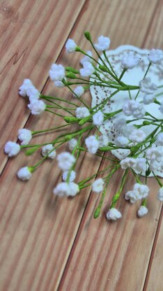 Baby's breath gypsophila