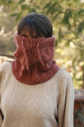 The Auk Cowl