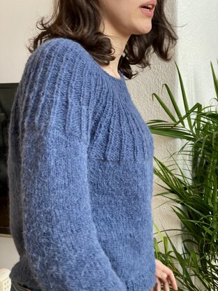 Blue Star jumper