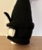 Cat Gnome