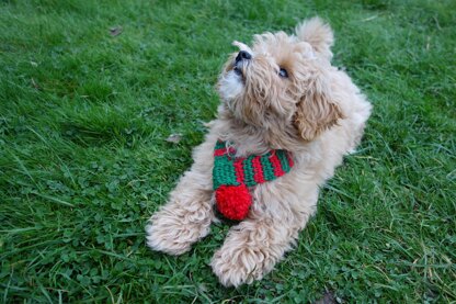 Elf Christmas Dog Scarf