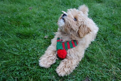 Elf Christmas Dog Scarf