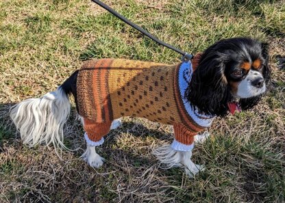 Stylin' Rescue Pup Sweater