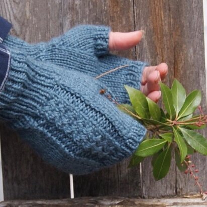 Blue Hill Mitts