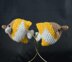 Butterflyfish Amigurumi/Plush Toy