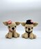 Chihuahua Couple
