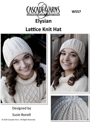 Lattice Knit Hat in Cascade Elysian - W557