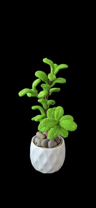 Crochet Jade plant pattern