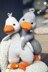 Goose Toy Knitting Patterns