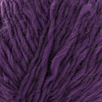 Aubergine (110)