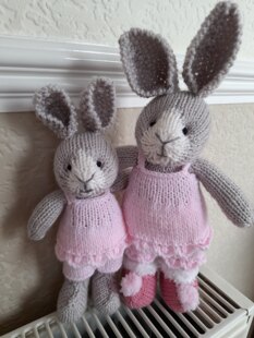 The Bunny Family