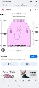2 Kitten coats for cat charity