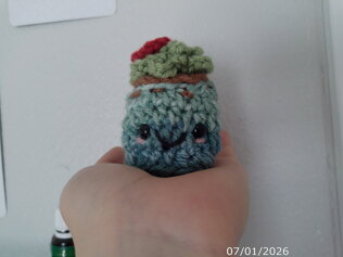 Sydney the Succulent