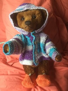 New nephew’s first hoodie
