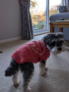 Christmas jumper number two hundred and twenty two