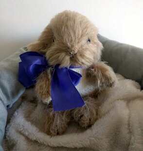 Easter Bunny