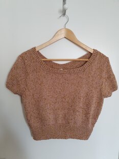 Cool Cropped Top