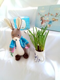 Peter Rabbit