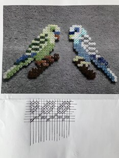 Budgie Bird Hat